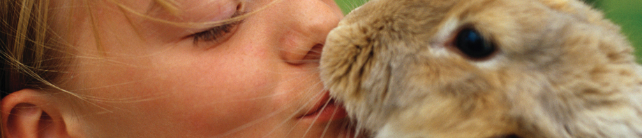 Boarding the Pet Rabbit